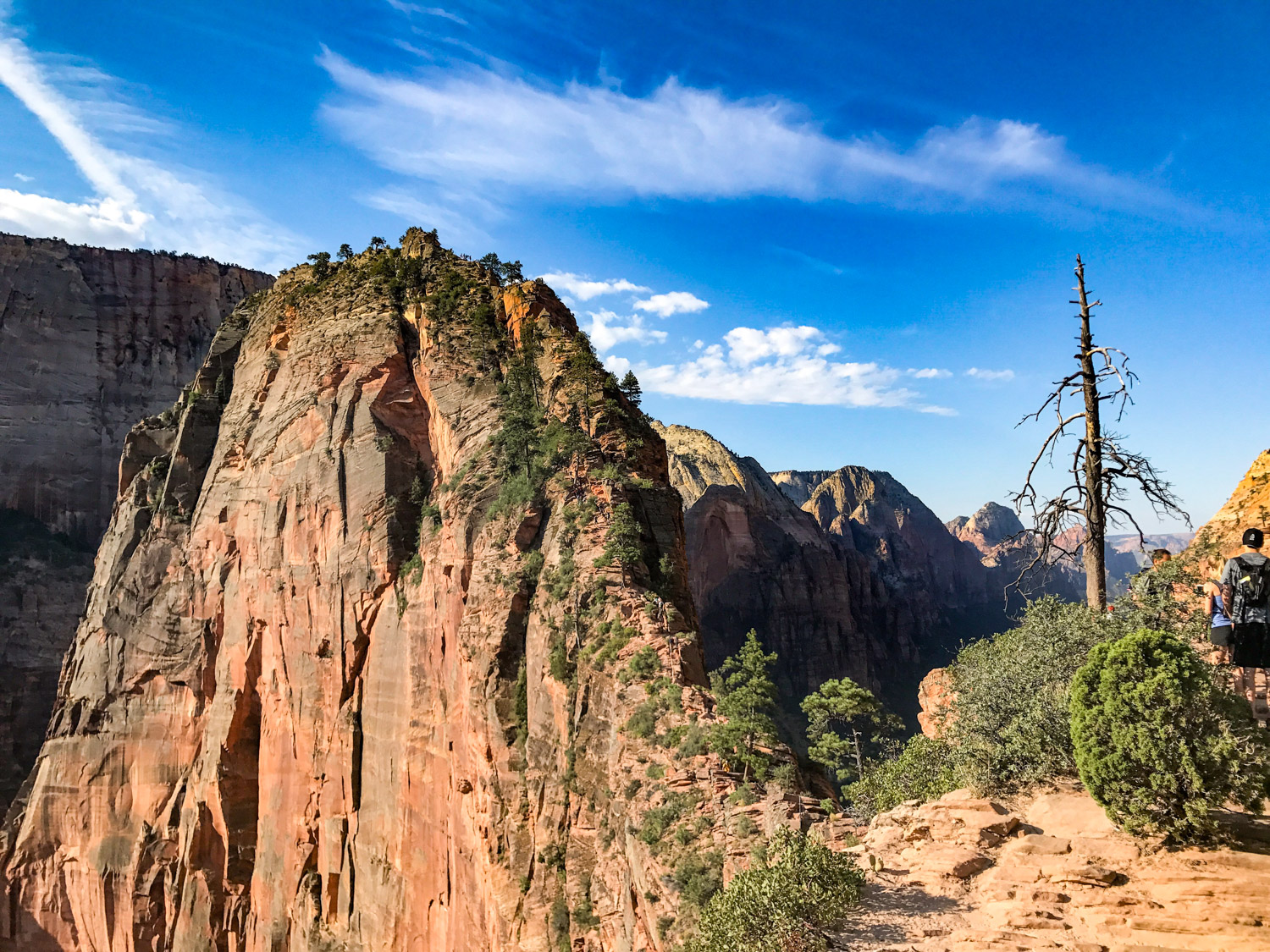 A Travel Guide to Zion National Park - Inspired Nomad